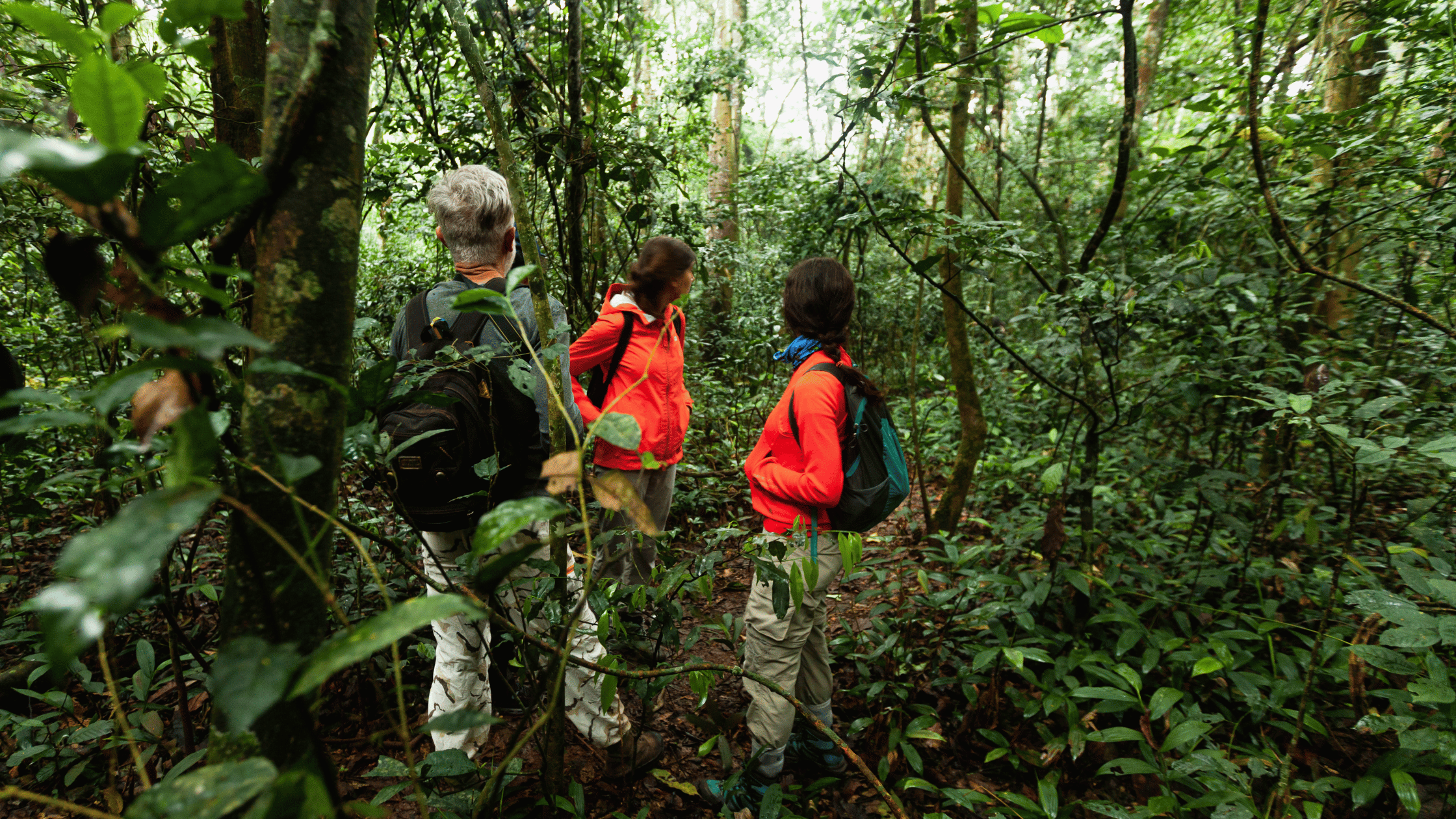 Ecotourism